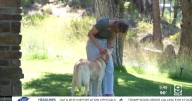 Lewis & Clark Humane Society is looking for foster families