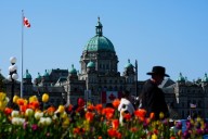 B.C. legislator enraged by American state senator’s pitch to voluntarily become the 51st state
