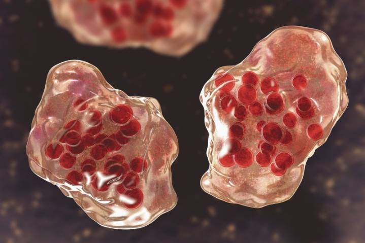 Measles virus detected in Clark County wastewater; no confirmed cases