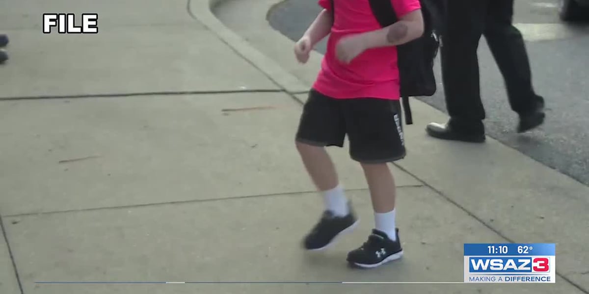 Safe school entrances to be installed in Wayne County