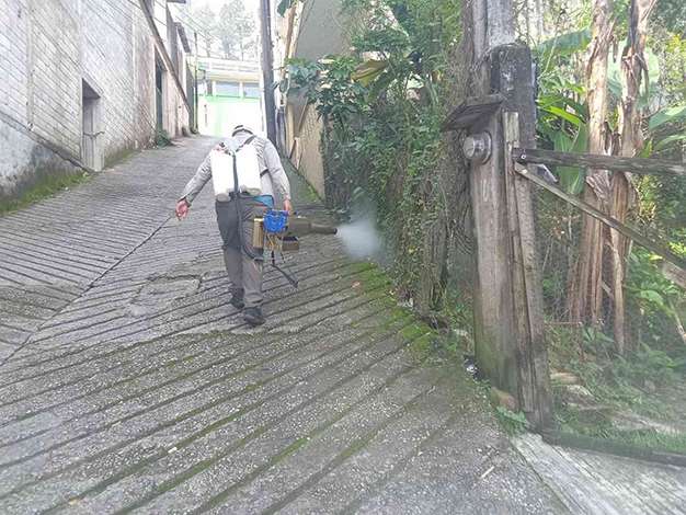 Disminuye dengue en San Luis
