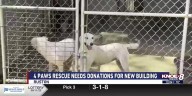 Ruston rescue shelter needs donations for new improvement project