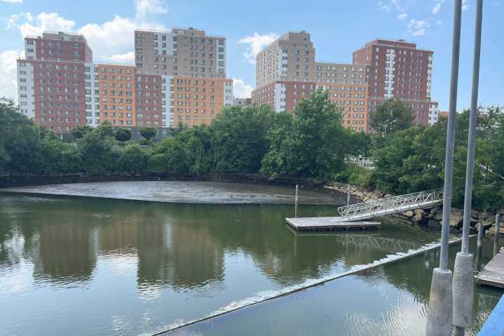 Why You Shouldn’t Frolic in Your Local River After It Rains