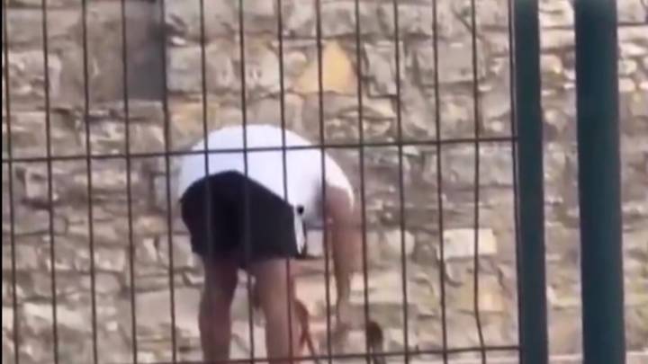 Vídeo: brutal agresor de un perro en Cataluña ya ha sido detenido por la Guardia Civil