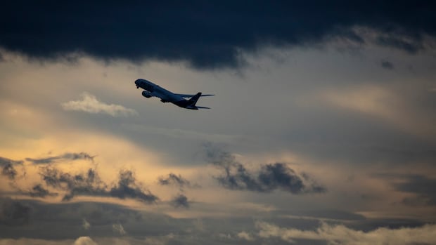Air passenger rights group files court challenge to 'unconstitutional' rules it says muzzle travellers