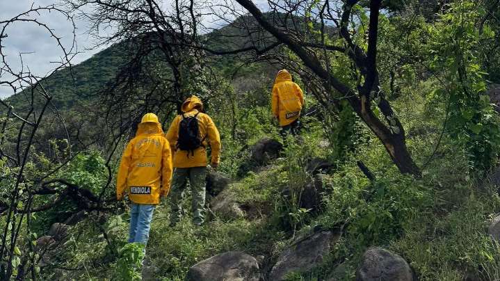 Árboles y fauna, los más afectados tras incendio en Cerro Tenango de Jonacatepec