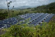 Exasesora ambiental de la Casa Blanca pide a clientes de Sunnova en Puerto Rico estar vigilantes tras declaración de quiebra