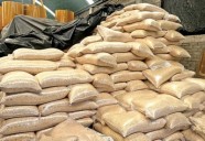 Maíz mexicano cae en picada por importación