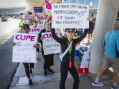 CUPE sues government to block 'unconstitutional' power used to end flight attendant strike