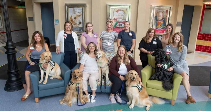 American Family Children's Hosptial adds two new dogs to Canine Health program