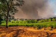 Travelers And Locals Evacuate California's Most Scenic Tourist Region Due To Continued Blazes