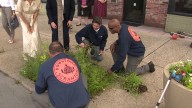 New ambassador program aims to help keep downtown Scranton clean