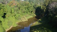 Planning your weekend? Here’s the St. Clair County forecast