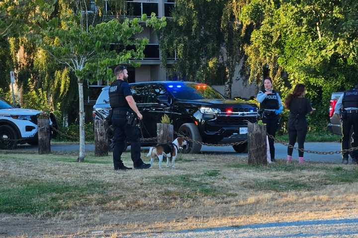 Alleged assault in Steveston’s Garry Point Park