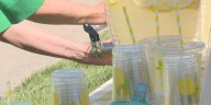 De Pere kids host lemonade stand to help kids with cancer