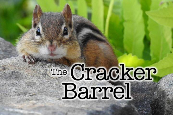 The Cracker Barrel: Chipmunk dreams