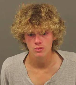 Rochester Hills man accused of sex with minor charged