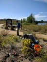 Larimer County accepting applications for community nature grants