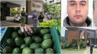 La red de 'narcos invisibles' extraditados que con negocio de aguacates habría creado millonario emporio familiar