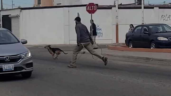 Critican inversión en nuevo centro de control animal sin estrategia de esterilización en Mexicali