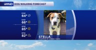 Dog Walking Forecast for Aug. 15, 2025