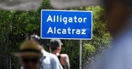 Trump admin. moving detainees out of "Alligator Alcatraz" after judge orders facility operations to wind down