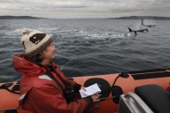 Environment reporter Lynda Mapes dove into Seattle’s Elliott Bay, and found some big changes