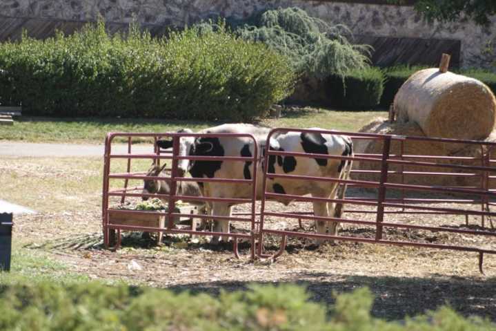 Beloved N.J. farm, one of the last in Bergen County, prepares to close by week’s end