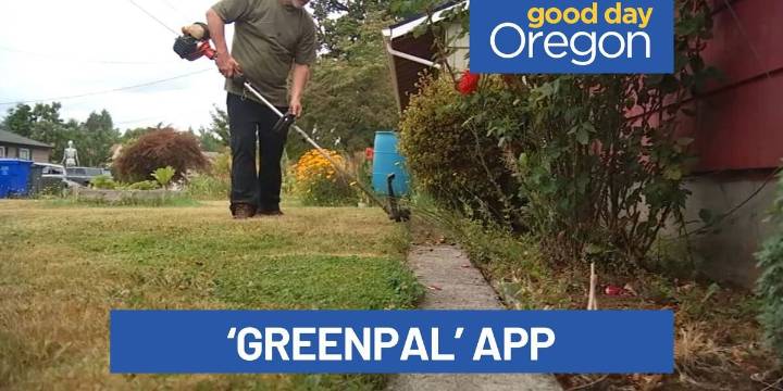 Ready for a greener lawn? There’s an app for that