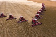 Opinión. Las lecciones del espejo brasileño que pueden impulsar el crecimiento del agro argentino
