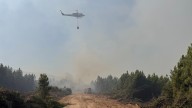 Un detenido un trabajador de extinción de incendios por provocar el fuego de Ávila hace dos semanas