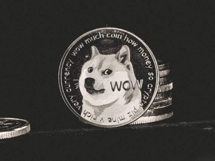 Dogecoin Spot ETF: Grayscale Files S