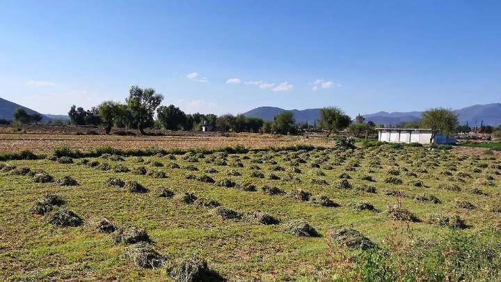 Problemas agrarios y de seguridad pendientes por resolverse en Hidalgo