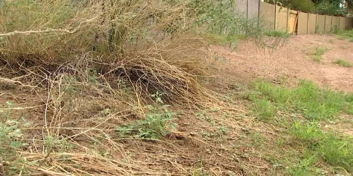 Phoenix homeowners demand cleanup of hazardous wash behind their homes