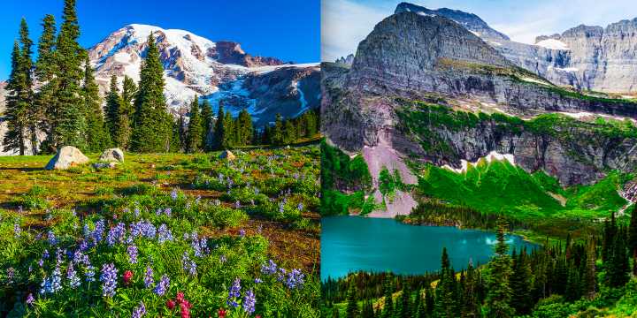 Glacier Vs. Mt. Rainier: Which Is The Most Beautiful National Park?