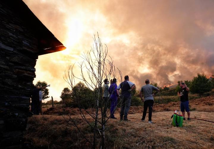 Los incendios vuelven a poner a prueba la política forestal del Principado dos años después