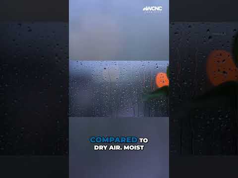 Why #humidity feels hotter than just the #heat #wcnc #shorts #weatherIQ