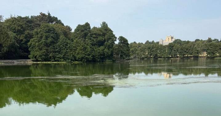 Nottingham parks issue warning over toxic bloom and urge people to keep clear