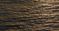 Health advisory issued for Boyds Creek following sewage spill