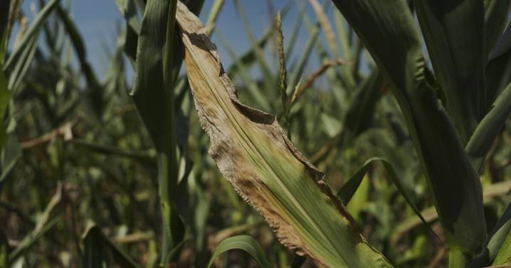 Warming climate is worsening droughts in Maine