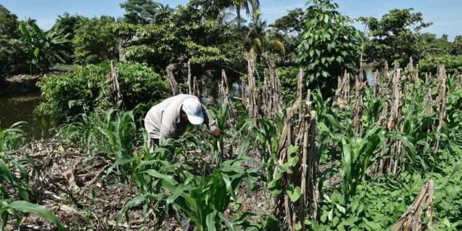 Dignifican comunidades originarias en Tabasco