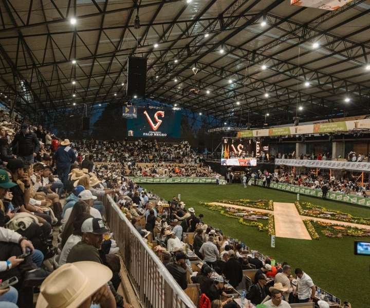 Resultados de categoría trote y galope de Expointernacional Equina de Feria de las Flores