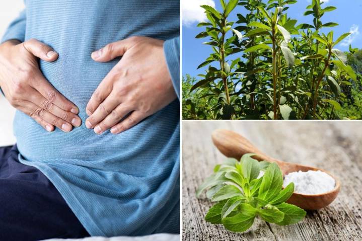 Stevia could hold untapped potential to fight cancer: study