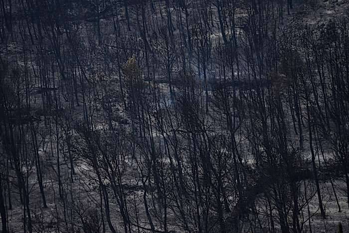 Firefighters battle to prevent reignition of France’s largest wildfire as residents return home