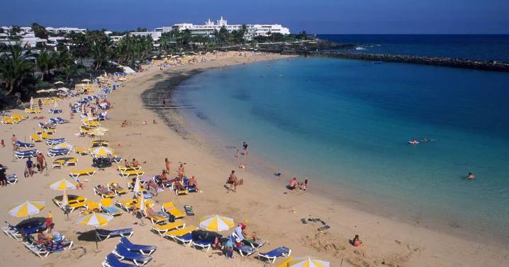 Warning to UK tourists visiting Canary Islands after ‘dangerous’ sea creature closes beaches