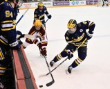 Big Ten alters its men's hockey postseason format