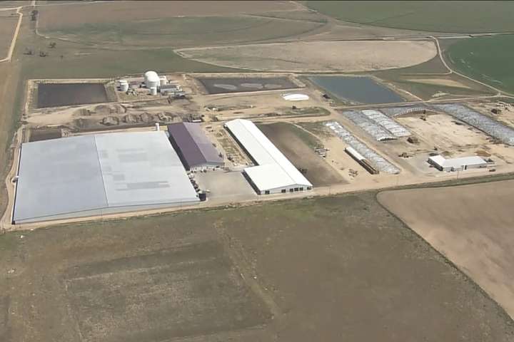 6 people are found dead at a Colorado dairy. Authorities suspect an accident involving gas exposure