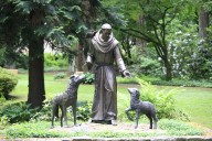11 saints who had pets or who befriended animals