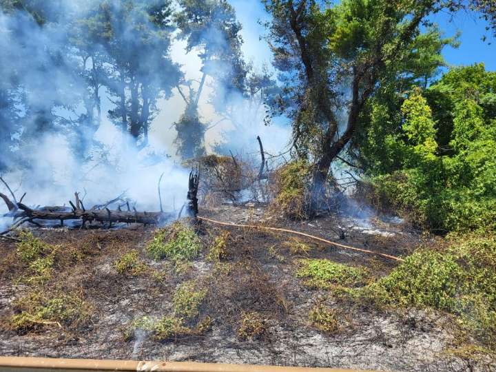 Brush fire slows down traffic on I-95 as firefighters battle blaze