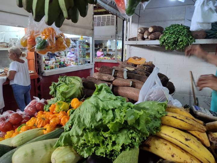 Verduras y hortalizas: las aliadas para economizar